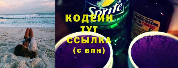 прущие грибы Иннополис