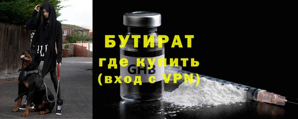 прущие грибы Иннополис