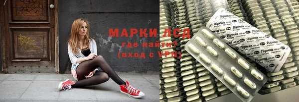прущие грибы Иннополис
