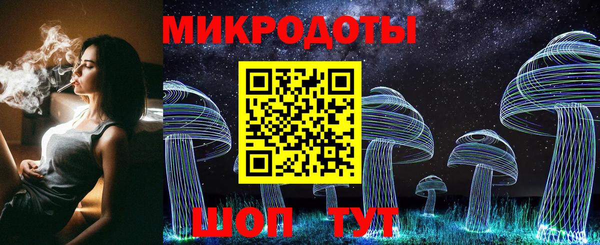Псилоцибиновые грибы Psilocybine cubensis Ишим