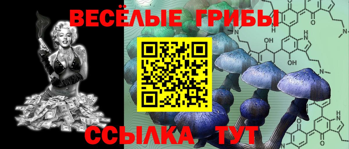 Ишим  Псилоцибиновые грибы Magic Shrooms  Вход с VPN  Галлюциногенные грибы прущие грибы 